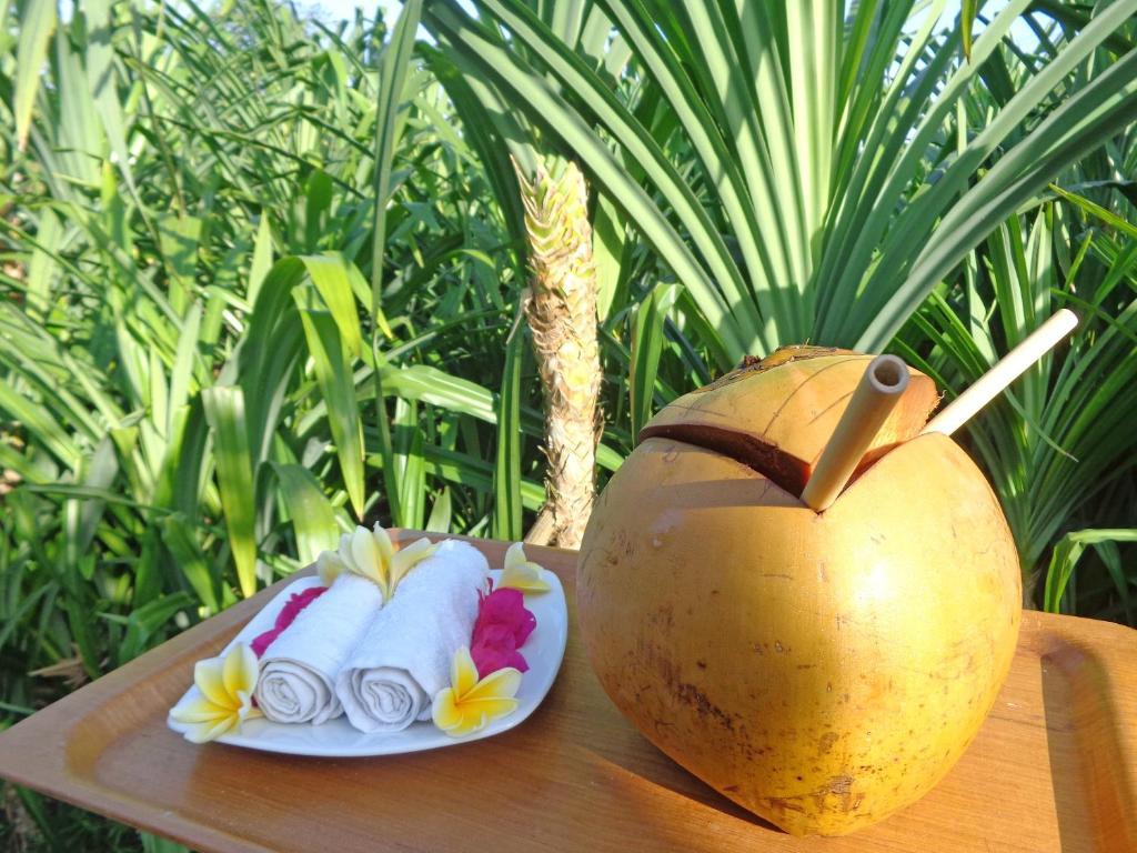 The Pandan Tree Villas Canggu Exteriör bild